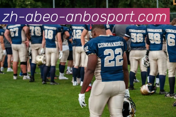 App Interface Preview