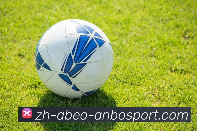 安博体育APP 封面图